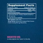 Haya Labs Astragalus kínai csüdfű 500mg - 60 kapszula 