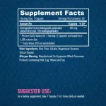Haya Labs Andrographis Paniculata 400mg - 60 db kapszula