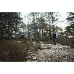 Non-stop Dogwear Friction Long Line kutyapóráz