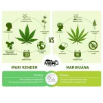Meru CBD - KANNABISZ KRÉM - 150ML