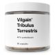 Vilgain Tribulus Terrestris királydinnye kivonat 90 kapszula