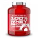 Scitec Nutrition 100% whey protein professional - Kiwi - banán 2350 g
