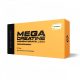 SCITEC NUTRITION MEGA CREATINE MONOHYDRATE 1320 (120 KAP.)